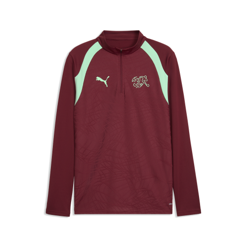 Puma SFV Training 1/4 Zip Top - team regal red