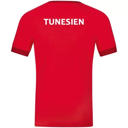 Tunesien WM Fan Trikot 2022-23