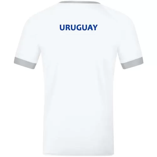 Uruguay Fan Jersey